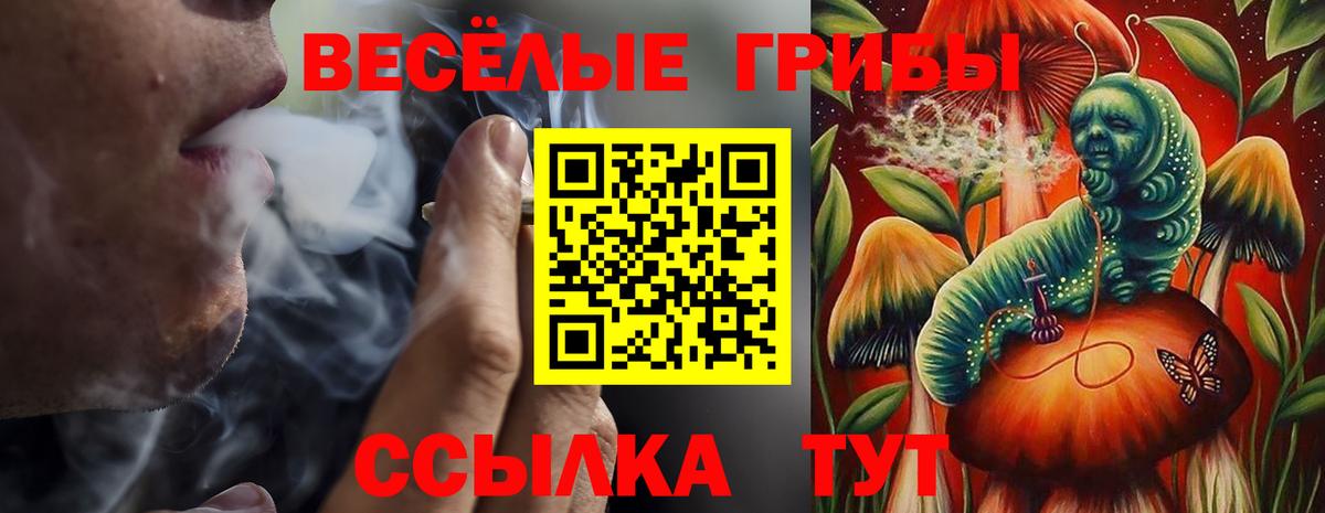 Галлюциногенные грибы мицелий Добрянка